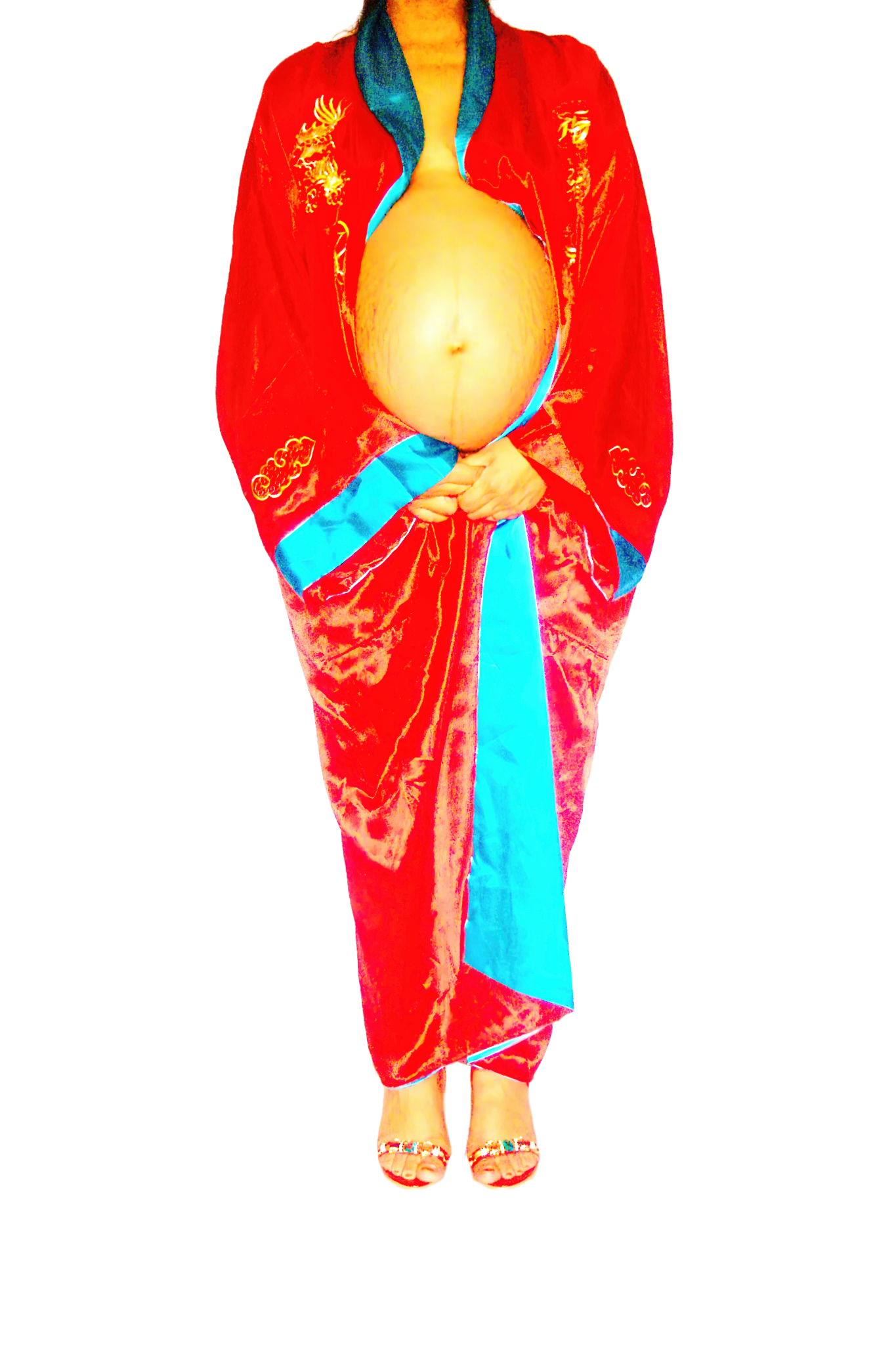 Le Corps Pansant - 2009